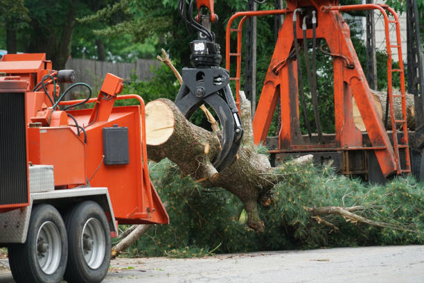 Best Organic Lawn Care Solutions  in Oswego, NY
